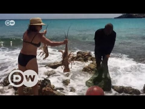 Inselträume - Europa in der Karibik | DW Deutsch