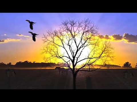 Hino C 25 - Buscai as coisas lá do alto - Hinos eav