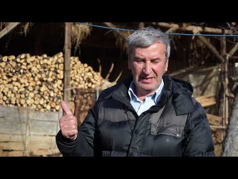 Autohtone vrste Srbije ep. 44 - 26.12.2019. - Krivovirska ovca