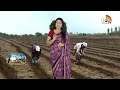 Preventions for Seeds | విత్తన సేకరణలో పాటించాల్సిన జాగ్రత్తలు | Matti Manishi | 10TV News - Video