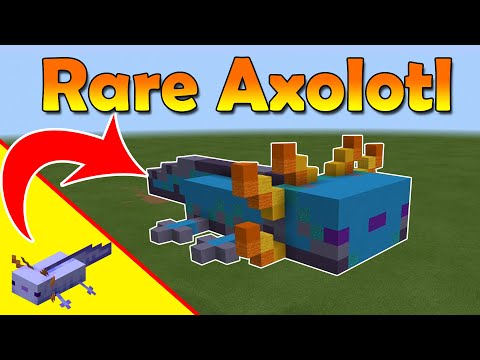 Minecraft Rare Axolotl - Rare Axolotl Statue -...