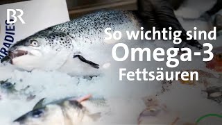 Fischölkapseln als Ergänzung: Liefert unsere Nahrung zu wenig Omega-3-Fettsäuren? | Ernährung | BR