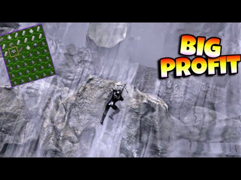 5 Raids Big Profit TMG ARK