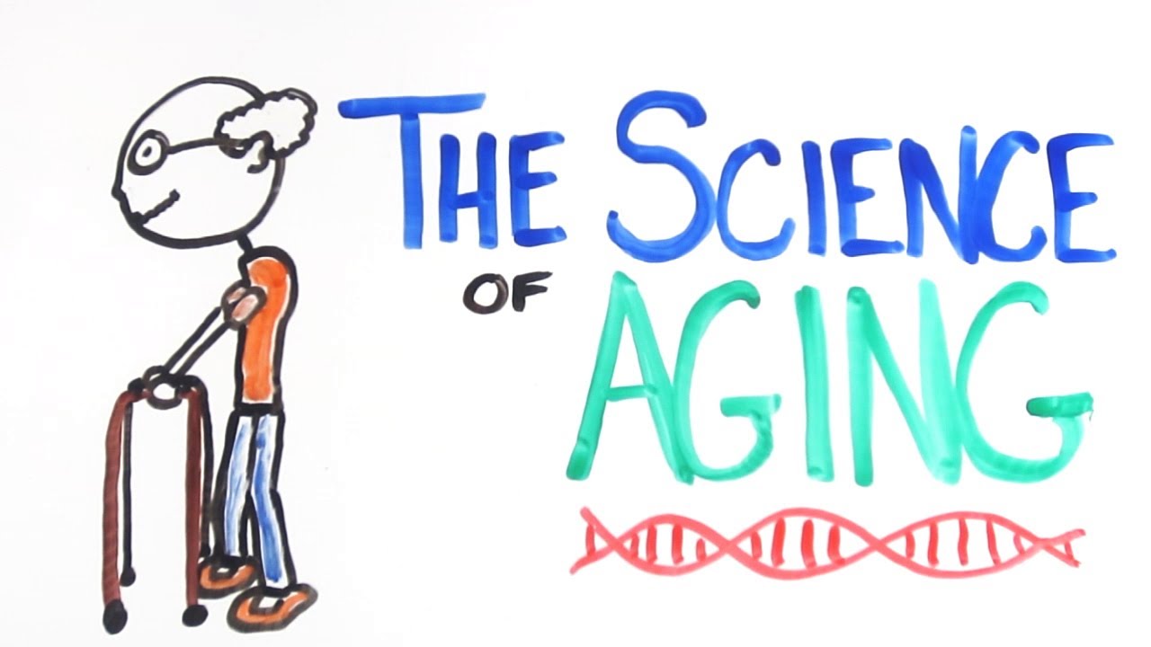 The Science Of Ageing