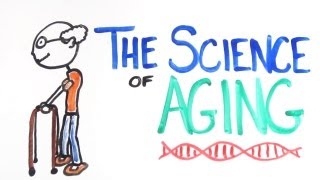 Why does our body age?