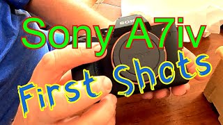 Sony A7iv First Shots and Thoughts
