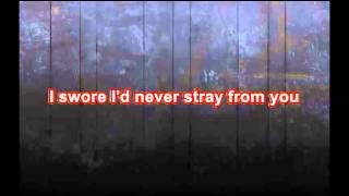 The Exies - Stray (with lyrics)