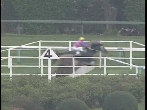 中山大障害・春 1998年 ノーザンレインボー