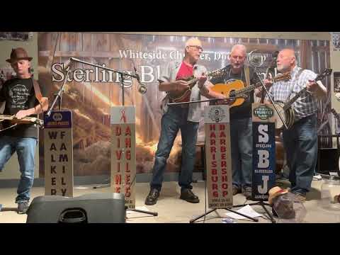 Molly Rose- The Sterling Bluegrass Jamboree House Band