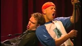 Stephen Lynch   Kitten with lyrics