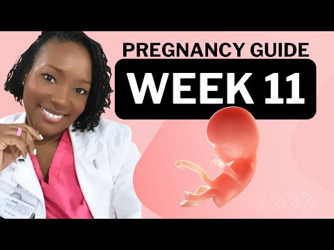 11 Weeks Pregnant: What To Expect