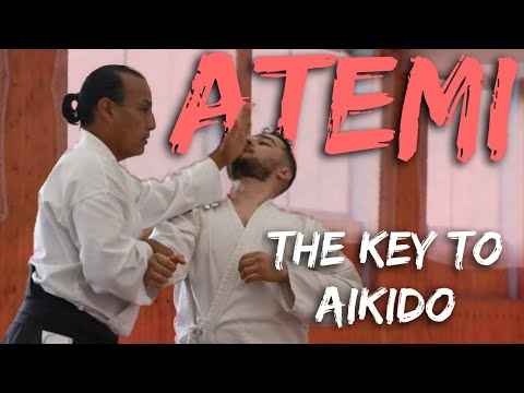 ATEMI | The Key to Improving Your Aikido Technique | Ep#1