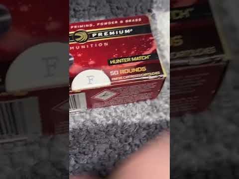 Ruger 10 / 22 Franken Rifle