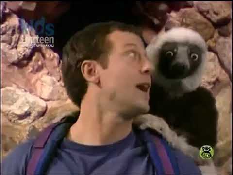 Zoboomafoo: Ants and Eaters (Part 2/2)