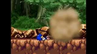 Sonic VS Megaman prt1