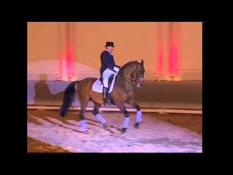 Fiorissimo Gestüt Bon Homme