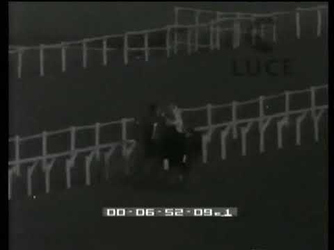 DERBY ITALIANO DEL GALOPPO 1954 BOTTICELLI