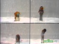 Classic Sesame Street Three Of These Things Winter