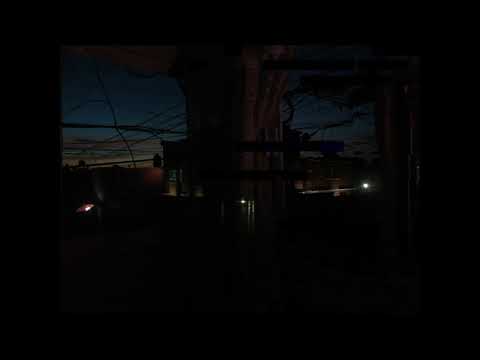 Celis Plant X Zlaya.hooba / ácido, acidez, o ha sido.