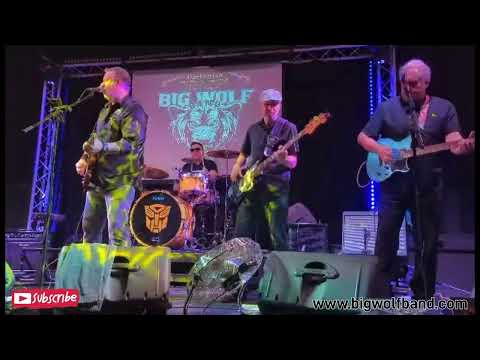 Walk In My Shoes LIVE