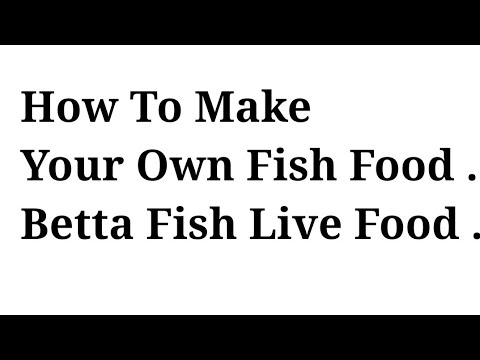 How to make your own fish food . Betta fish live food .