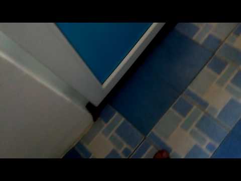 Ion Bogdan Stefanescu 🐹🐹🐹🐹🐹🐹🐹🐹