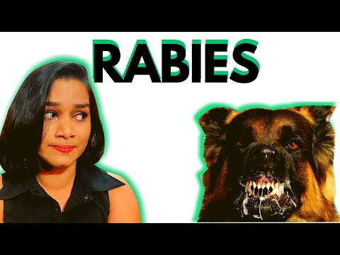 Identifying Rabies in Dogs (2021)