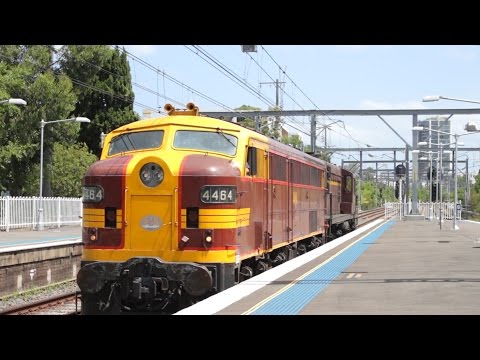 4464 & 4501 | Goulburn to Eveleigh | 10th December 2016