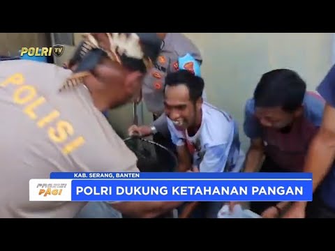 KAPOLRES SERANG PANEN IKAN LELE WUJUD KETAHANAN PANGAN NASIONAL