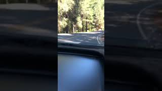 preview picture of video 'Driving through the curves in Plumas County in Lake Almanor California'