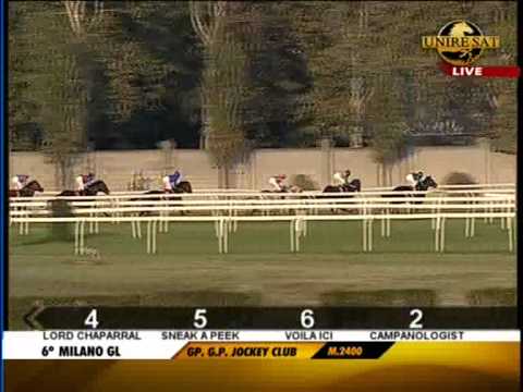 Mailand: Grand Premio Jockey Club