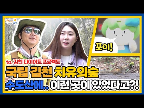 팀장님이랑 자작나무숲에서 런지하고 옴... 수도산 국립김천치유의 숲(feat. #다이어트) #한사랑산악회 #패러디 #등산 #산악회 #헬스 #건강 #팀장 #공무원 #회사원