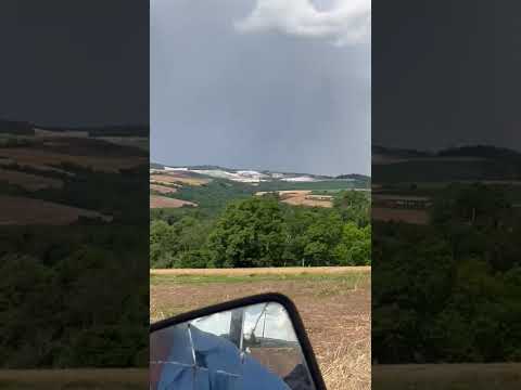 4 de novembro de 2025