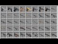 All 47 TaCZ Guns In Minecraft Full Animation Showcase