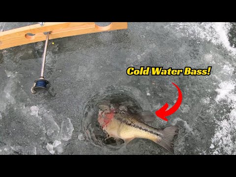 This Fishing Knocked The Wind Out Of Me!