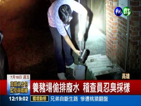 排臭水罰不怕 養豬場勒令停工