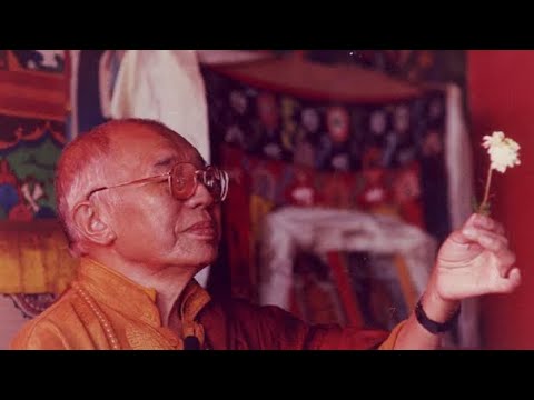 Tulku Urgyen Rinpoche ~ Undistracted Non-Meditation 