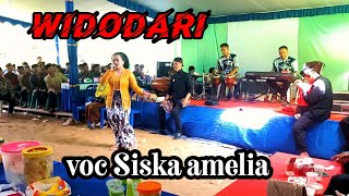 Download lagu WIDODARI SISKA AMELIA DEYNSA NADA||Diva pro audio||Kirab manten Soiri & Sutrini||live Pagerejo lorok mp3