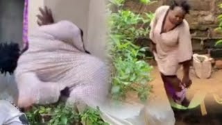 The behind the shirien!