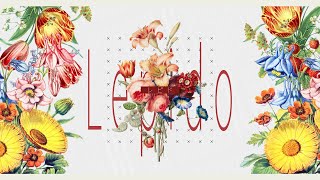 Cover art for Lepido