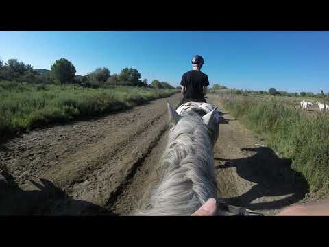 🌸  [GoPro] : Balade à cheval 2022🌸