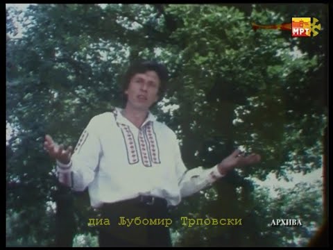 Јанко Узунов - Јанка низ гора врвеше / Janko Uzunov - Janka niz gora vrveše