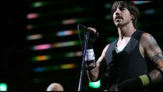 Red Hot Chili Peppers - Baby Appeal [Live, Coachella Festival 2007]