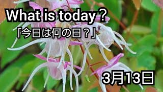 【What is today?】今日は何の日?(0313)|YouTube掲示板《ヒントストック》