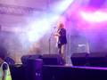 Sunshinin' - The Vines at Southern Roots