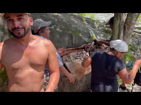 Me voy a la Sierra Maestra , como es la vida aquí  @Yasevids