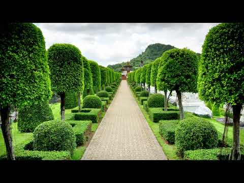 MOST BEAUTIFUL GARDEN IN THE WORLD | Swaroopa Diaries