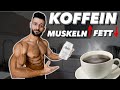 Koffein - Schneller Muskeln aufbauen & Fett verbrennen?! (Kraft, L-Theanin, Ausdauer, Cycling)