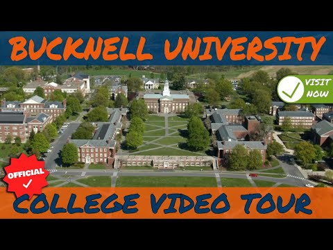 Bucknell University Athletic Staff Suggested Addresses For Scholarship Details Scholarshipy