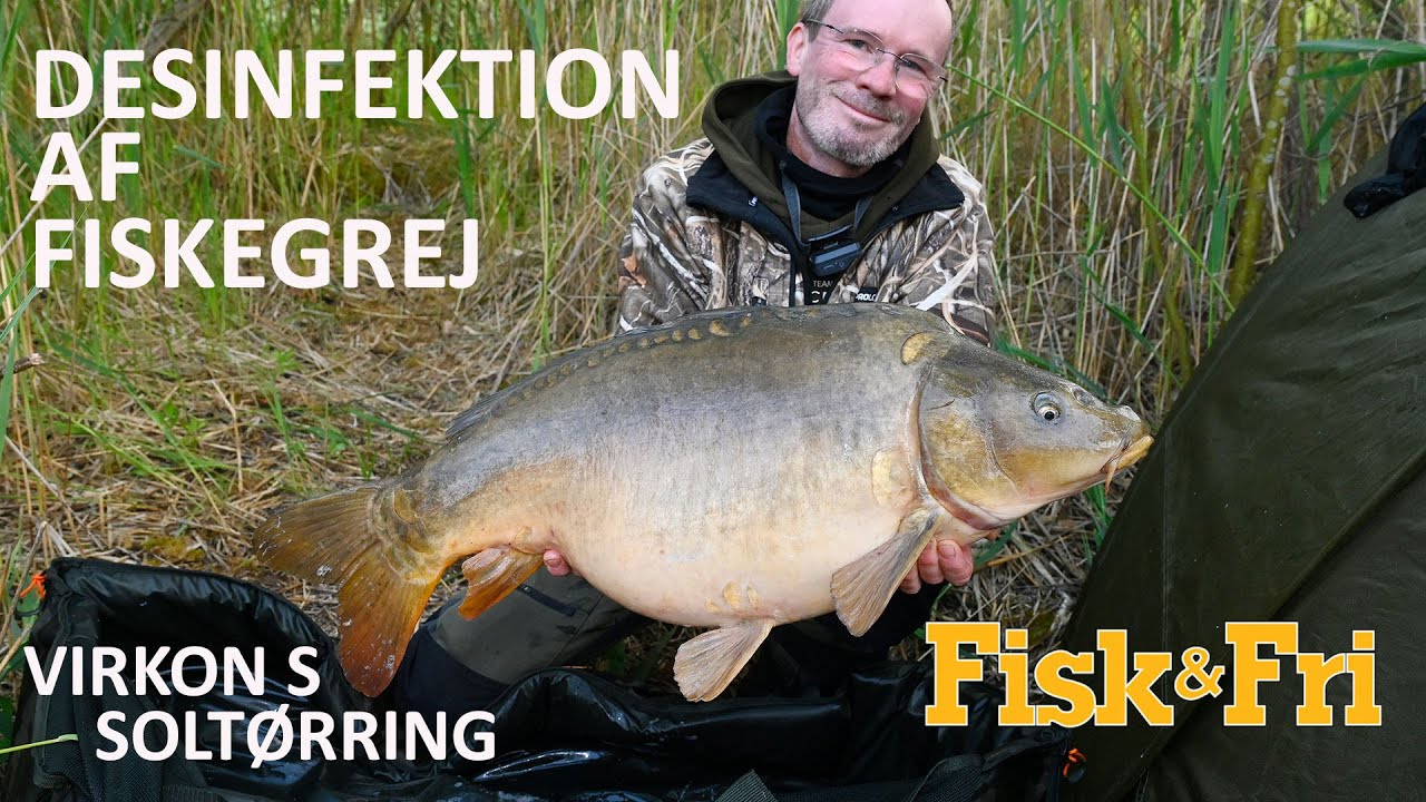 NY VIDEO: SÅDAN DESINFICERER DU DIT FISKEGREJ